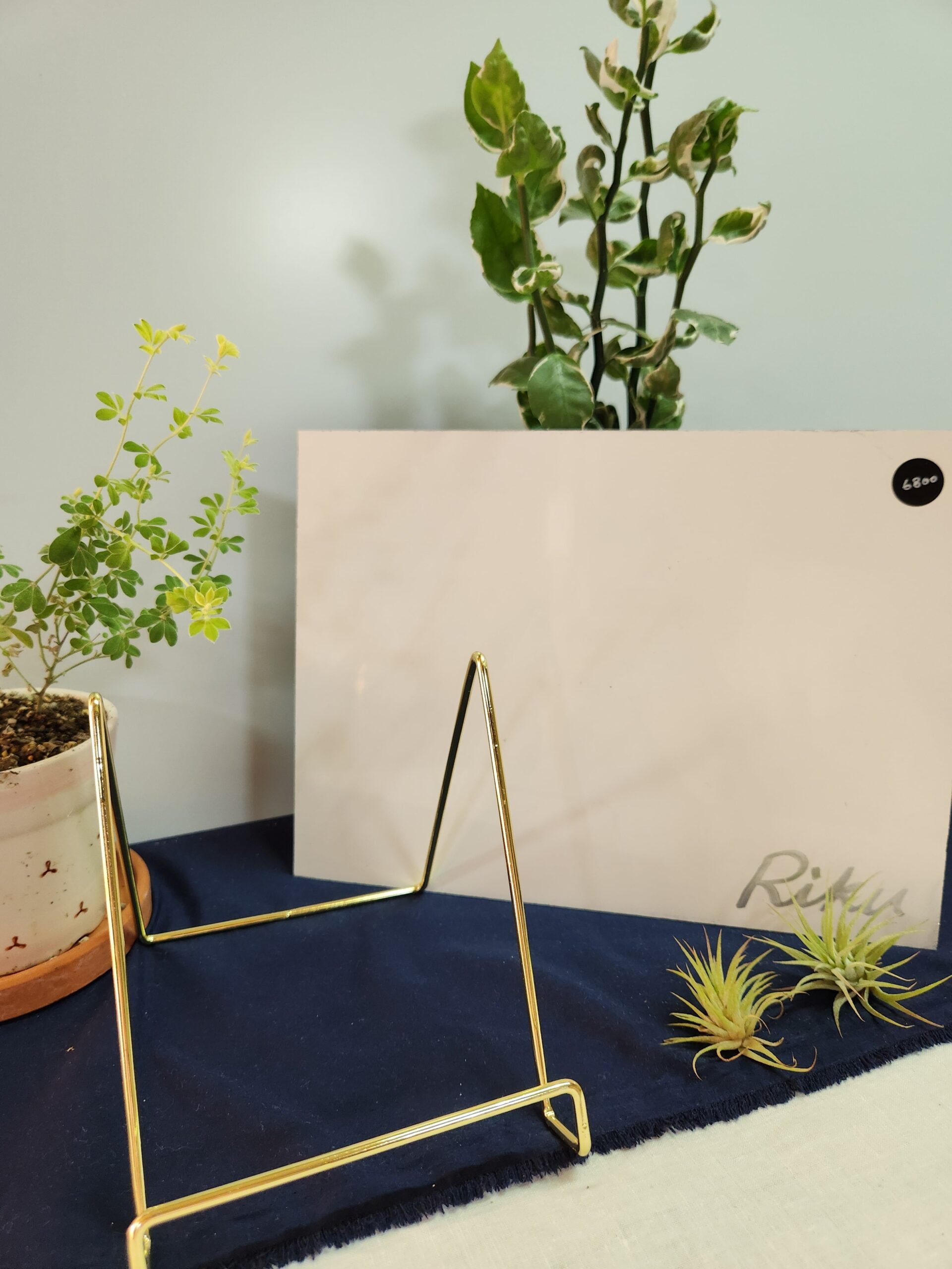 13135ed028b74d59177572a1ad09f218