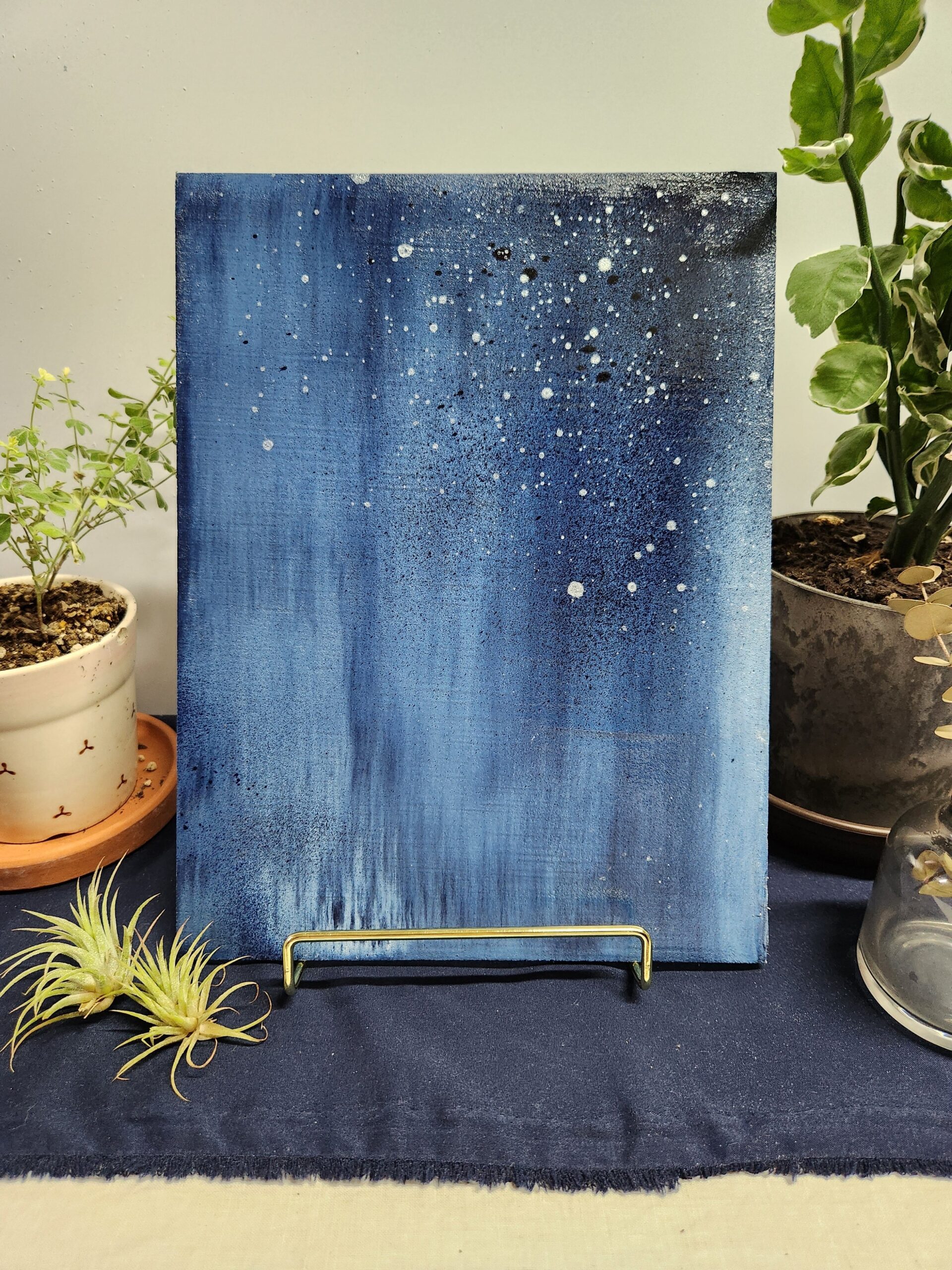 209dba3173a876cd490a556585bbce1e