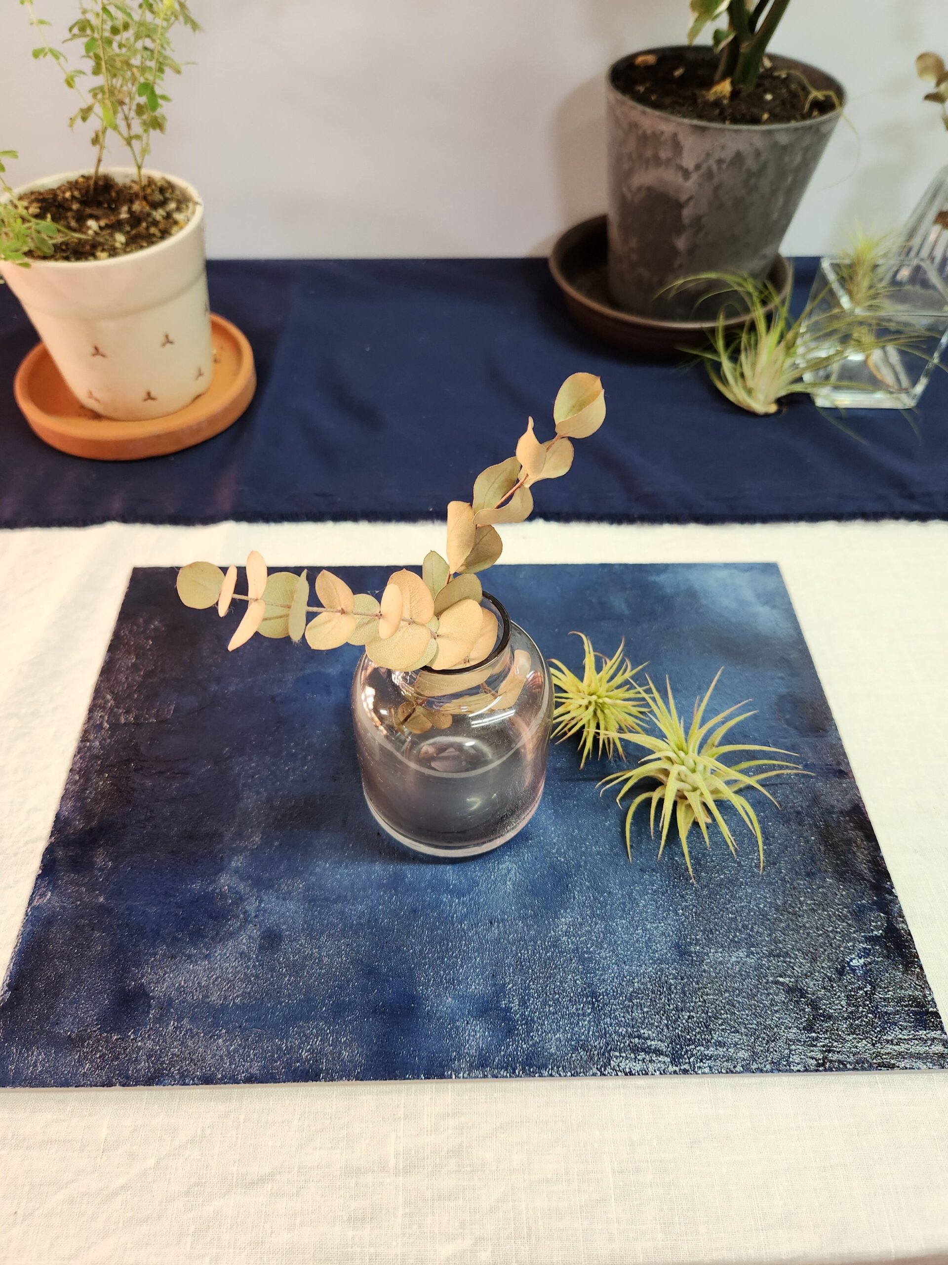 75b4c00071c36dfbf8d93bdde442e925