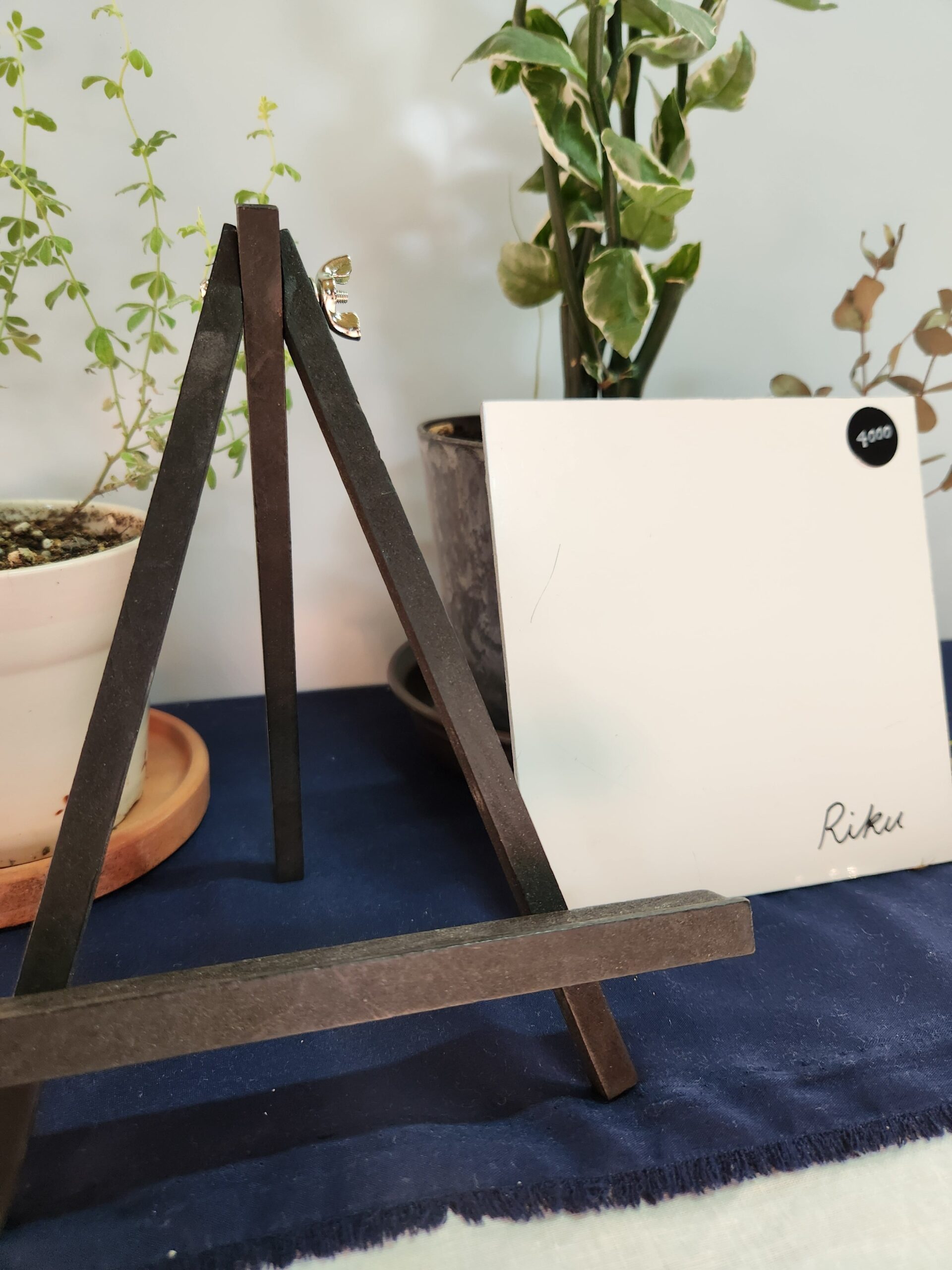 Abc44b2aa7d00a8e4d864c927486949f