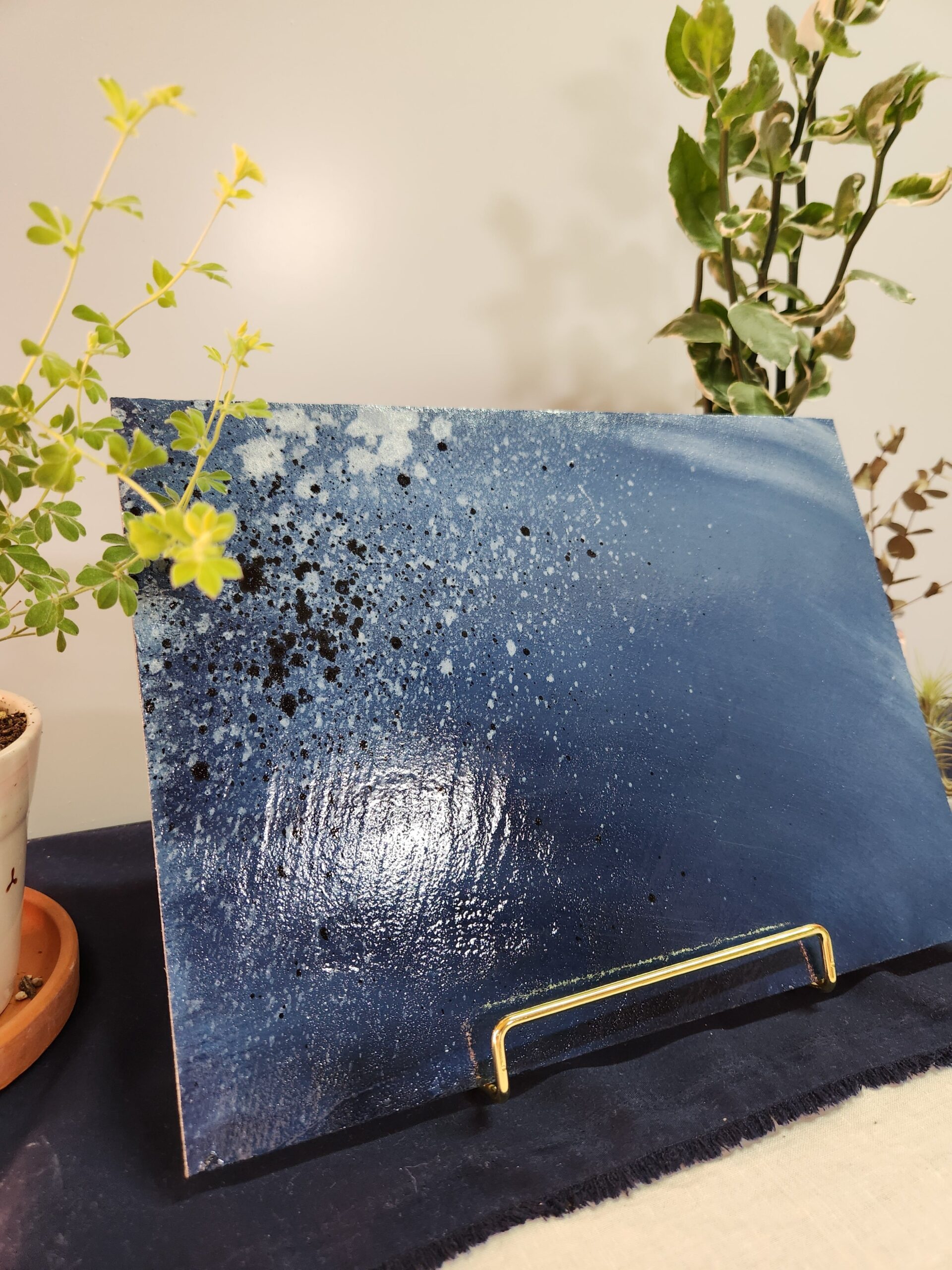 B6c994932c9b9446f62bdd78031e5a11