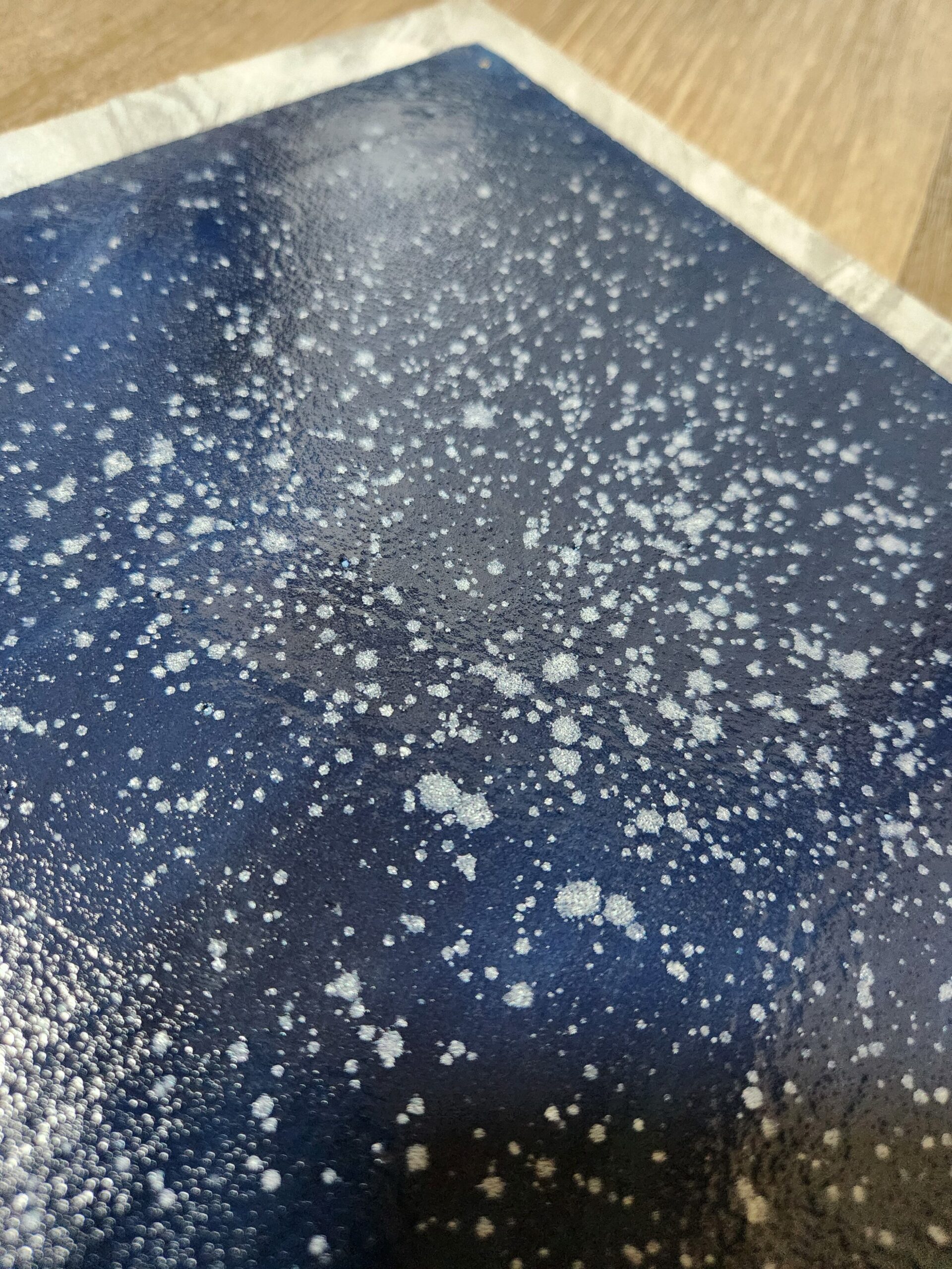 E740c26034ec637c5500190b31969b18