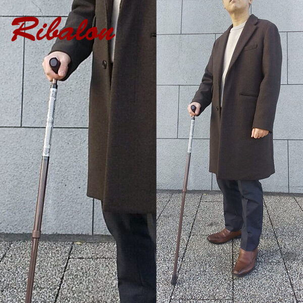 保護中: 【エントリーモデル】Victorian Brown