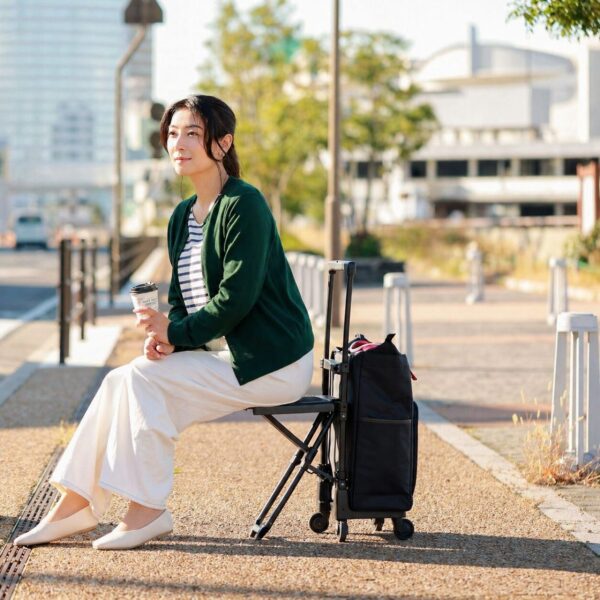 保護中: スワニー【座面付きキャリーバッグ】D-630 ポルド