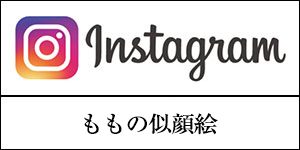 Snsmo01